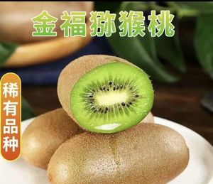 2026年陕西周至猕猴桃十大品