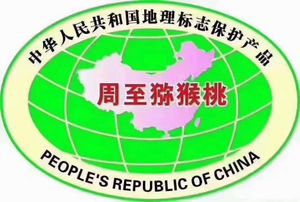 2026年周至猕猴桃排行榜：凭