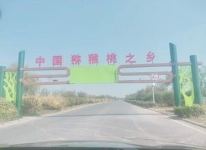 2026最新排名！周至猕猴桃皮