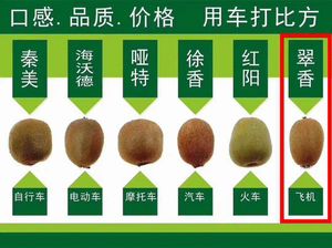 周至猕猴桃皮能吃吗？2026最