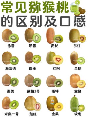 2026年6月最新榜单：周至猕