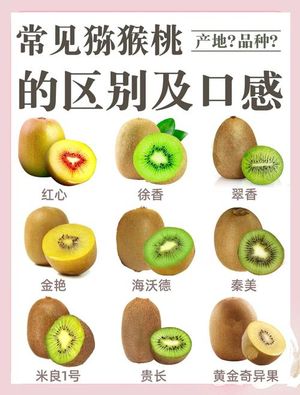 2026年周至猕猴桃什么时候吃