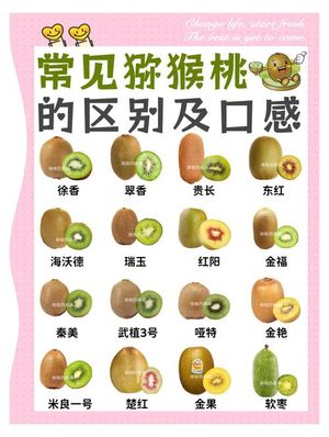 2026年6月周至猕猴桃最佳食
