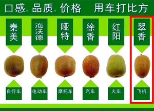 2026年终极评测：周至猕猴桃