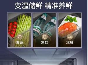 2026年7月最新评测：周至猕猴桃冰箱保存排行榜，哪个品牌最好？