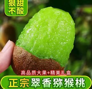 2026年7月翠香猕猴桃产地直