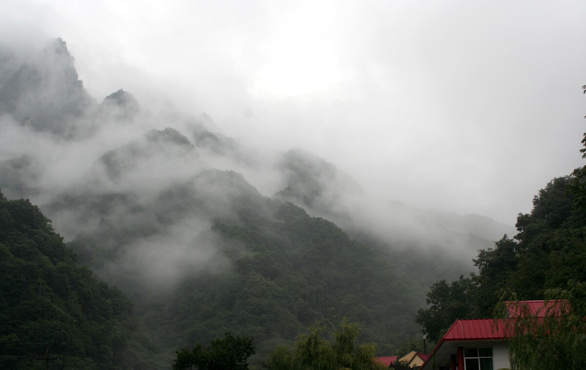 周至猕猴桃风景区.jpg