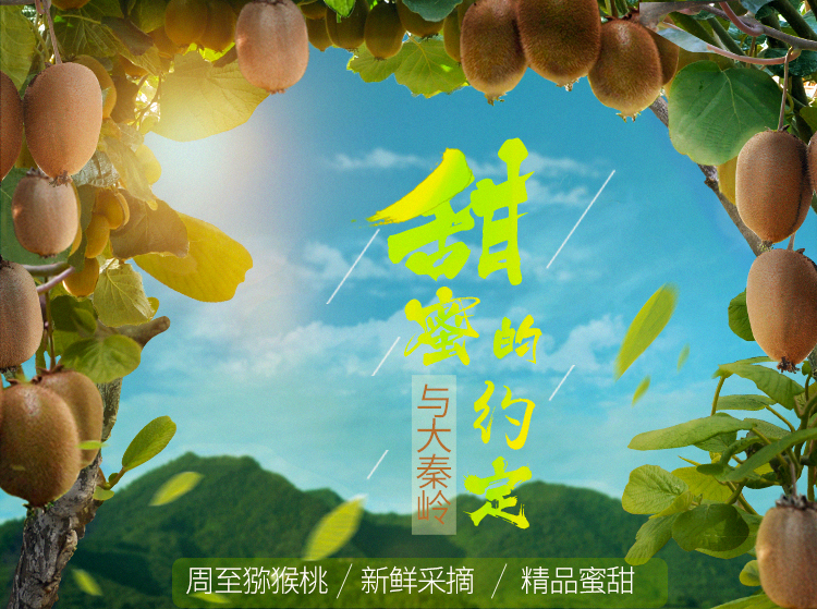 陕西周至猕猴桃工业已成为农业经