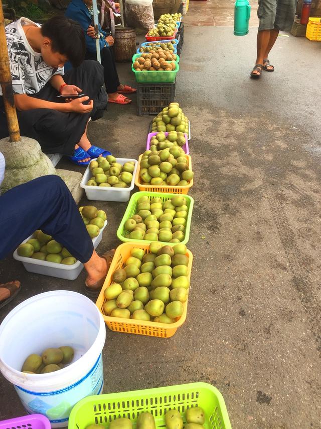 奇异果国产雅安红心猕猴桃，猕猴桃品质中的良心产业