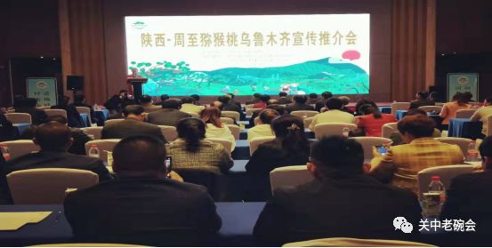 陕西西安∙周至猕猴桃“牵手”新
