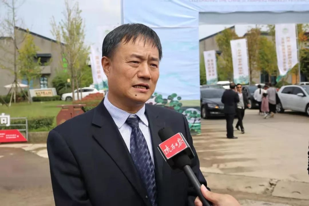 2019西安·周至猕猴桃主题年