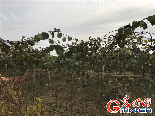 江西正把“生态”这个核心理念实