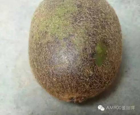 翠香黑头病的发病症状，翠香黑头