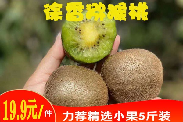 特色水果的优点有哪些？猕猴桃的