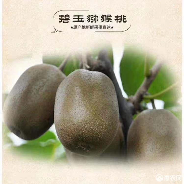 猕猴桃已经长出来了，现在的猕猴