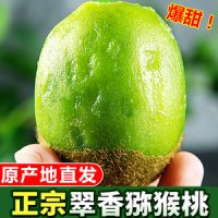 探秘陕西翠香猕猴桃基地：品质管