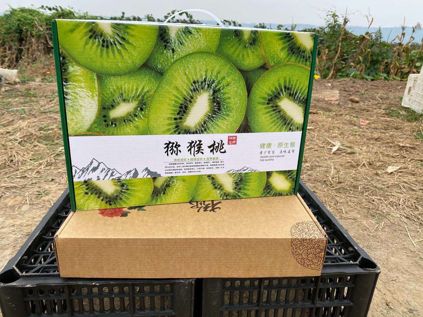 周至县猕猴桃栽植面积42.3万