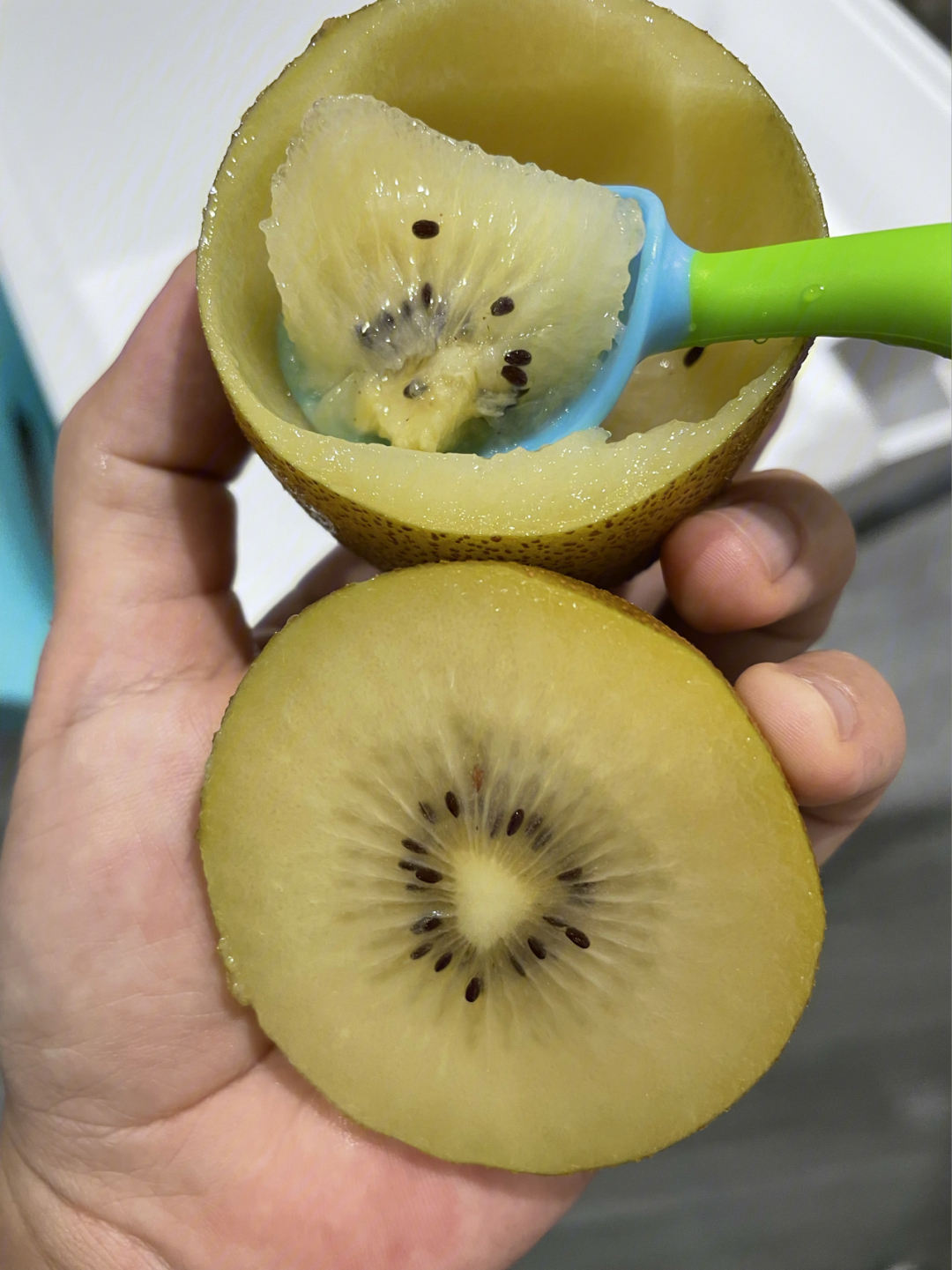 奇异果和猕猴桃到底是什么区别呢