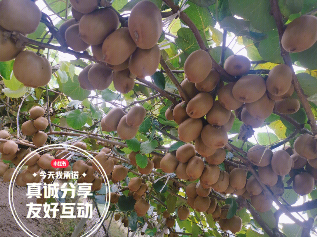 200名“四川省返乡下乡创业明