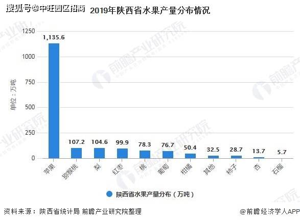 2022年我省园林水果产量19