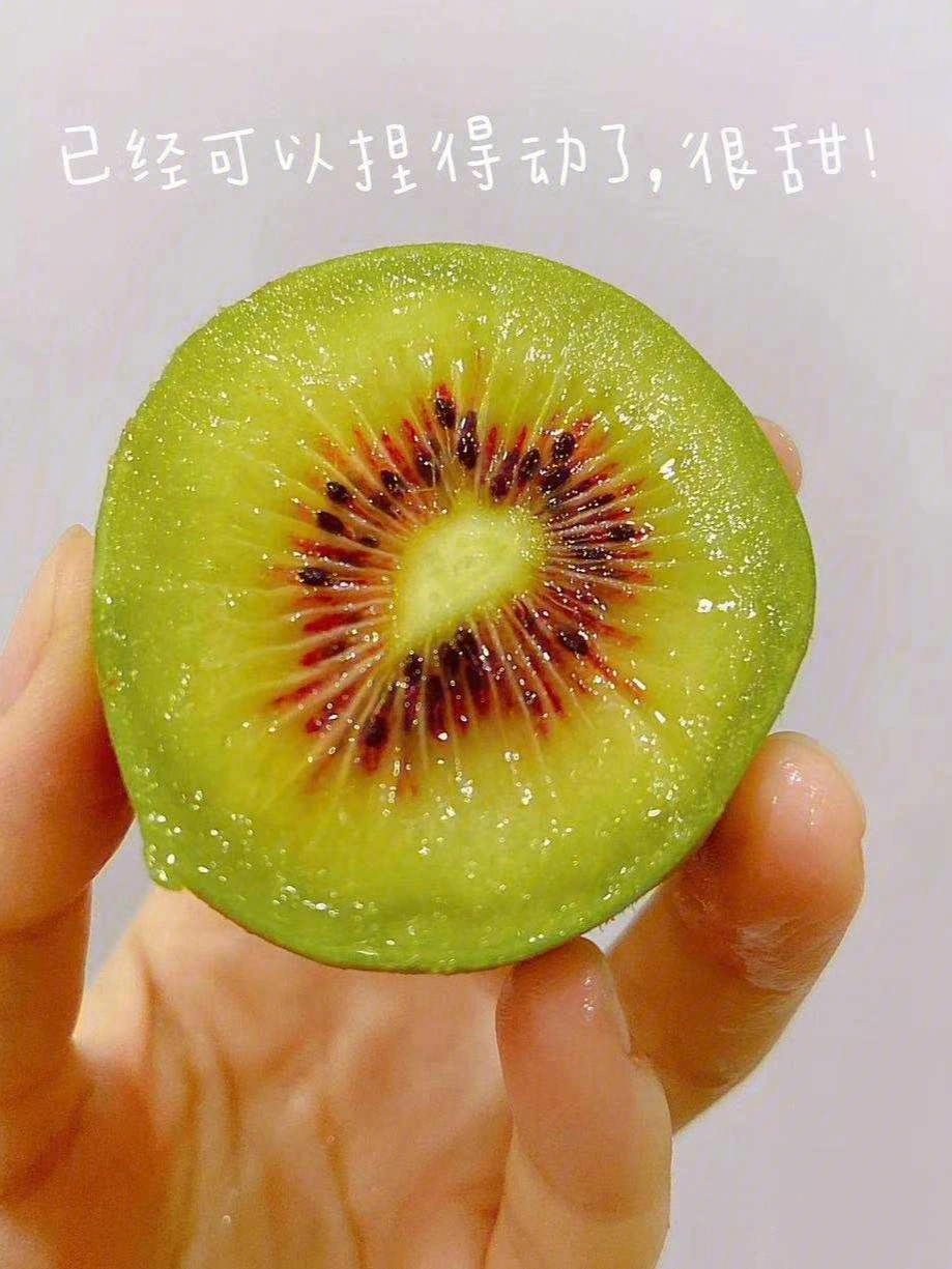 猕猴桃和奇异果的特点