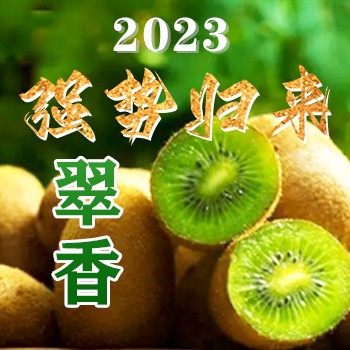 周至【即食】翠香猕猴桃，即到即