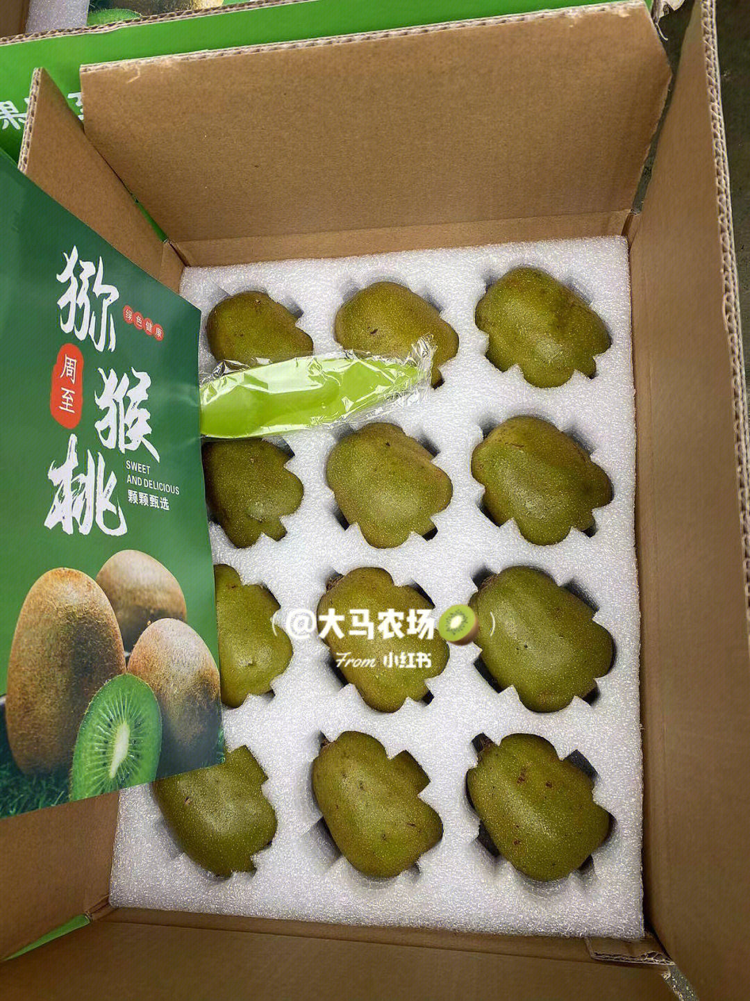 绿衣下，黑籽围心而坐