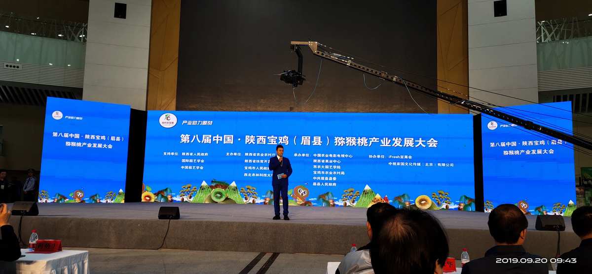 第十一届中国（国际）