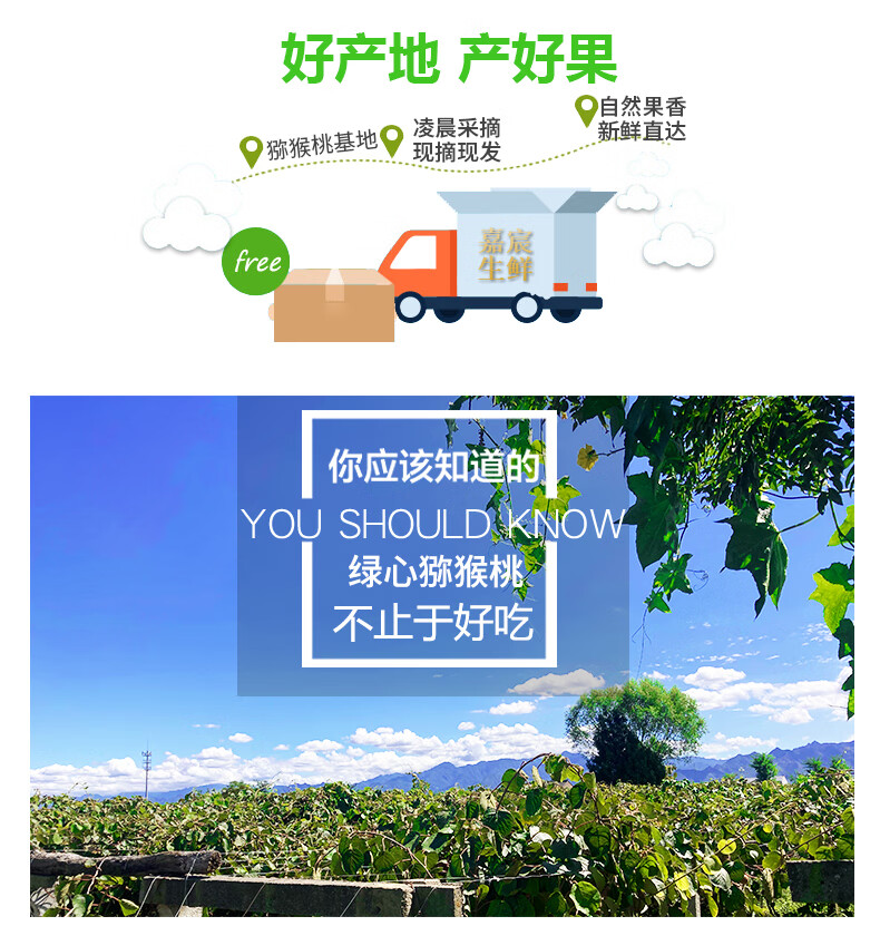 猕猴桃和奇异果的区别在哪？它们