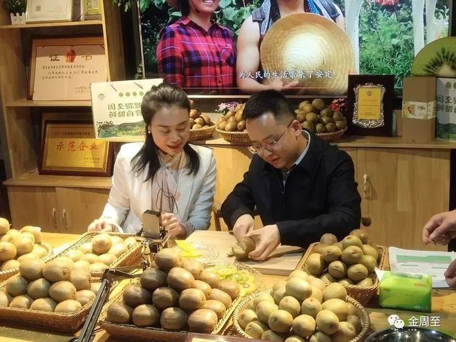 陕西优质翠香猕猴桃基地，每年都