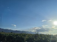 全国猕猴桃哪里最出名？独领风骚