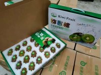 陕西周至翠香猕猴桃—孕育高品质
