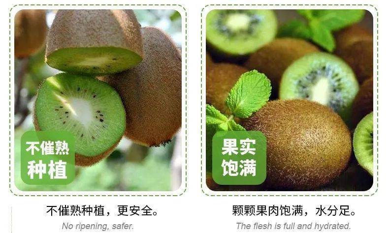 陕西猕猴桃产业链【全面剖析】带