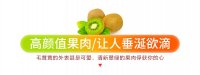 资深果农分享：陕西猕猴桃网络采