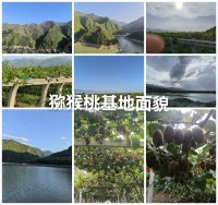 周至：依托猕猴桃产业，全域普及