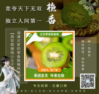 2024中国猕猴桃品牌价值评价