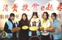 陕西周至 45 万亩猕猴桃成熟