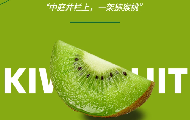 陕西猕猴桃：五好特色成就优质果
