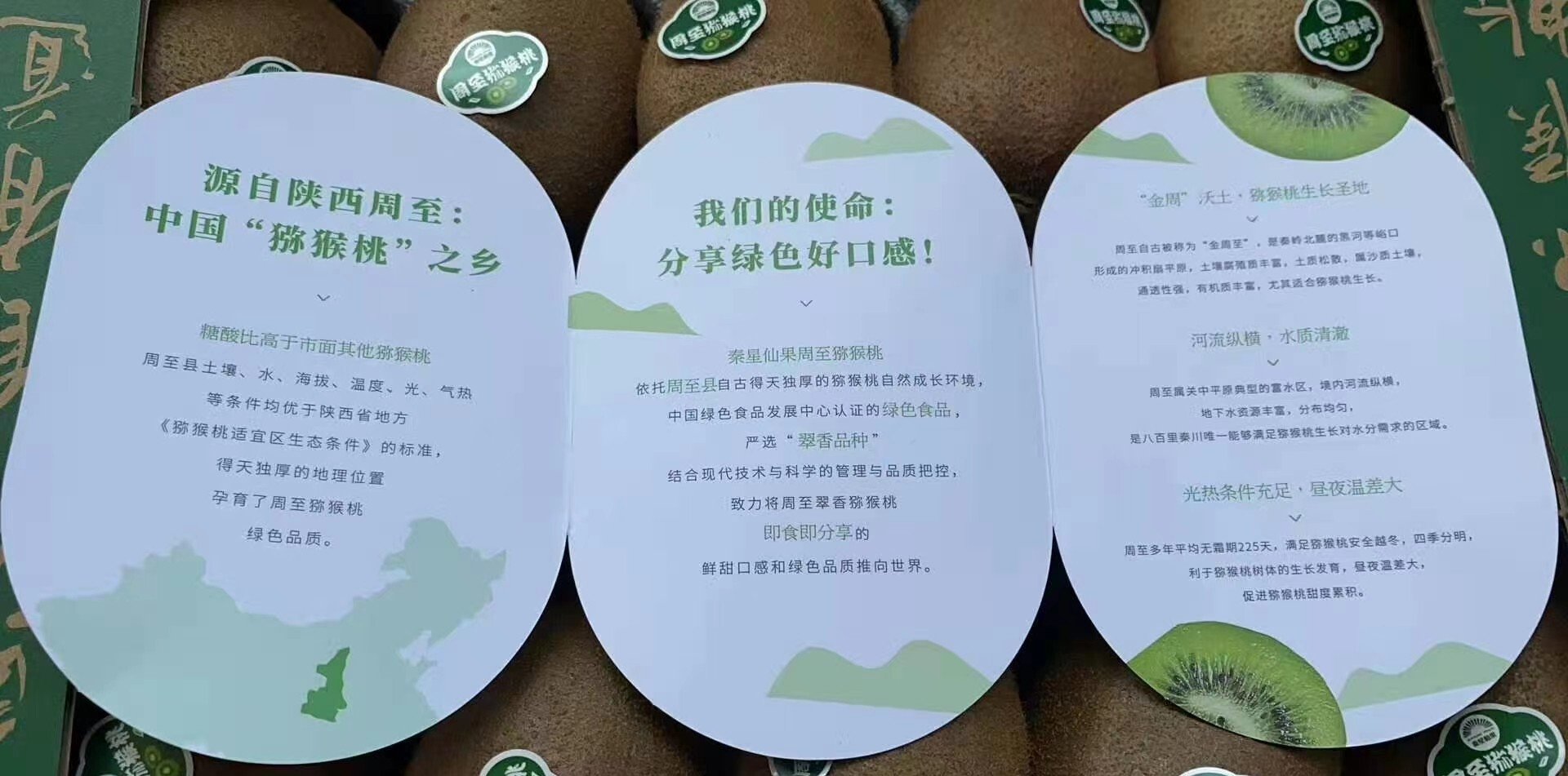 周至猕猴桃出口.jpg