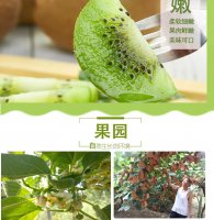 周至猕猴桃​：当地特色农产品，