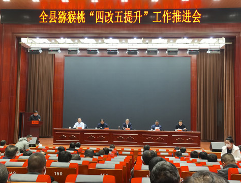 全县猕猴桃四改五提升会议.png