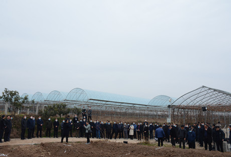 眉县猕猴桃种植基地.png
