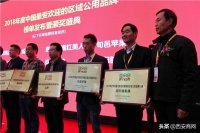 周至猕猴桃代表陕西名优水果应邀