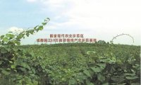蒲江猕猴桃进军国际市场,这说明