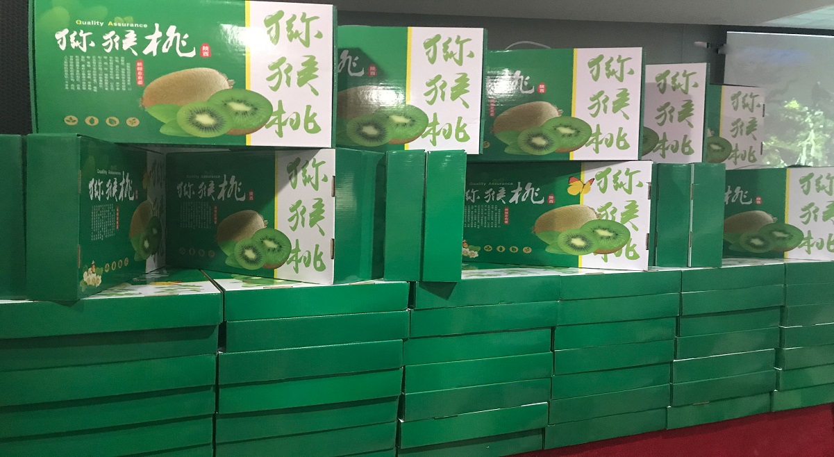 奇异果采摘基地_高教授：吃猕猴桃不吃果肉而吃果皮？.jpg