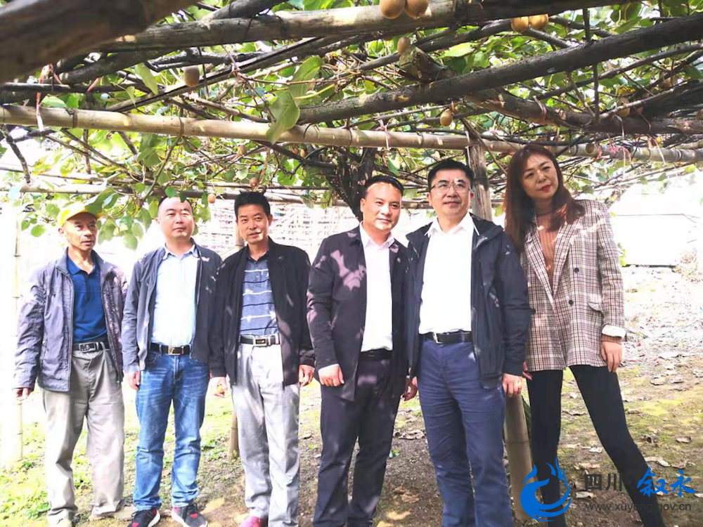 陕西省农业农村厅来山调研全国农