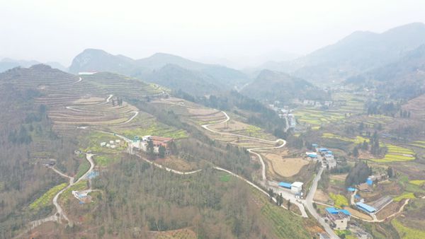 “水果之乡”正抢抓农时(组图)