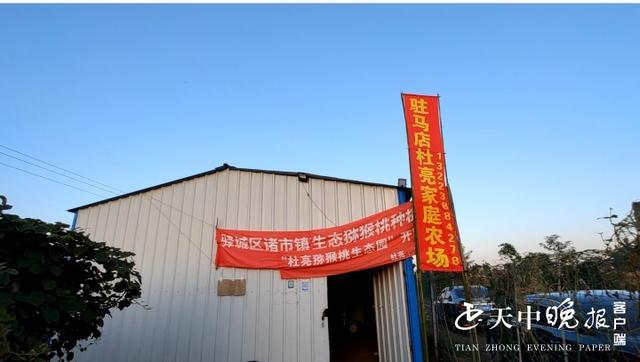 一个你身边的猕猴桃采摘园——驻