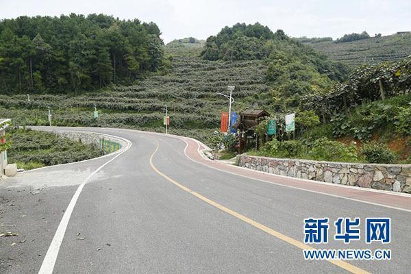 修文猕猴桃即将迎来采摘季，你知