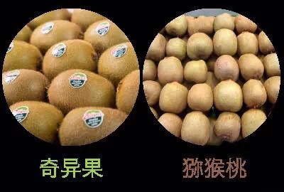 眉县猕猴桃“十大”标准化生产新